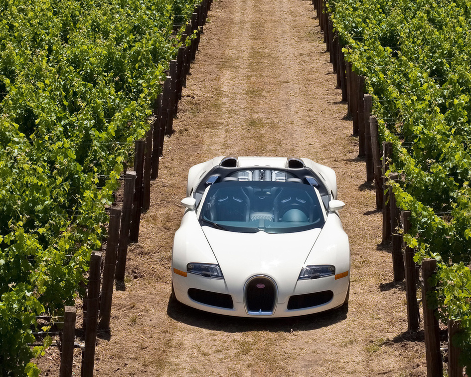sports car in the vineyard