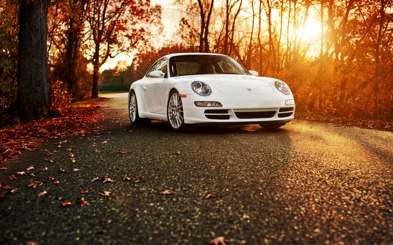 Porsche 911 in the autumn forest