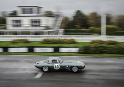 Jaguar E Type at Goodwood