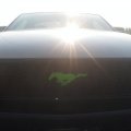 Custom Mustang grill emblem