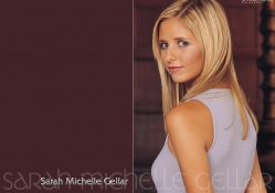 Sarah Michelle Gellar 22