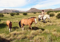 Cowgirl In Bariloche Argentina