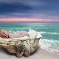 Seashell Baby