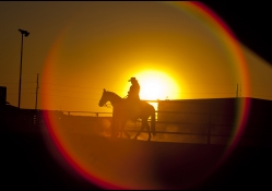 Cowgirl In Glowing Sunset