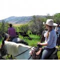 Cowgirl Cattle Drive