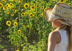 Sunflower Cowgirl