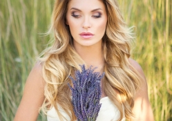 Lavender Beauty