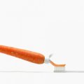 Carrot toothpaste
