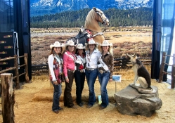 Cowgirls View