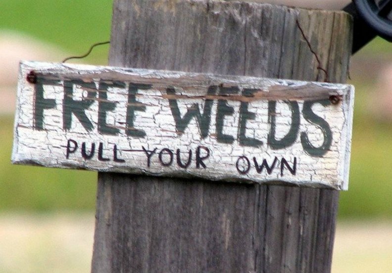 free_weeds.jpg
