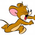 Jerry The Mouse