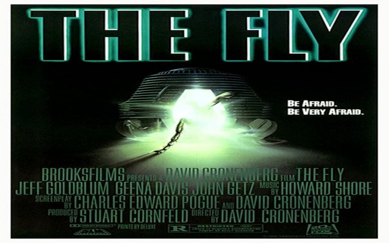 the_fly.jpg