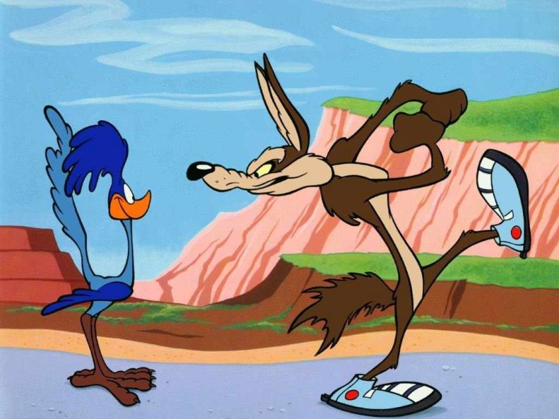 the_coyote_and_the_road_runner.jpg