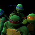 The Teenage Mutant Ninja Turtles