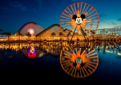 Disney Land at Night