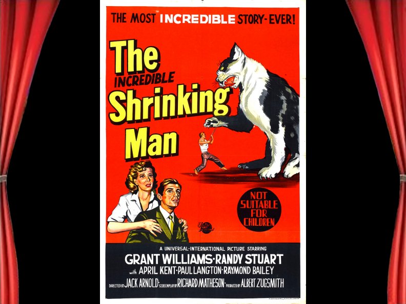 the_incredible_shrinking_man02.jpg