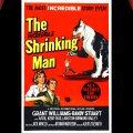 The Incredible Shrinking Man02