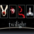 The Twilight Saga Book Covers