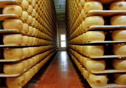 ageing cheese
