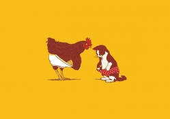 Rooster And Cat