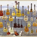stringed instruments of the world