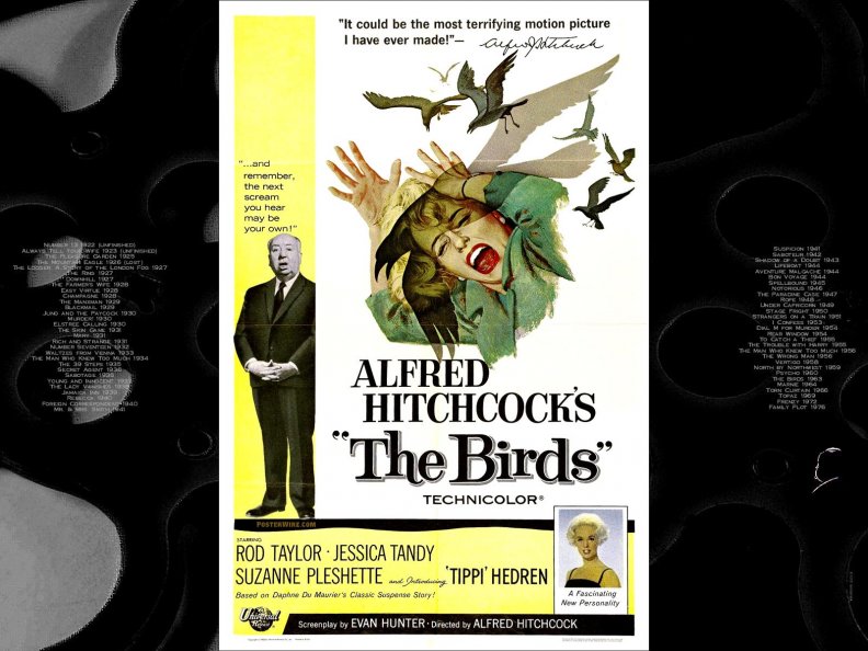 The Birds01