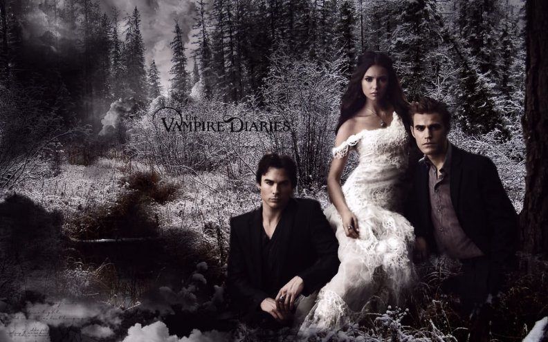 vampire_diaries_2009.jpg