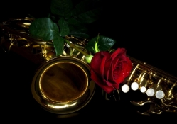 A SAX AND A ROSE