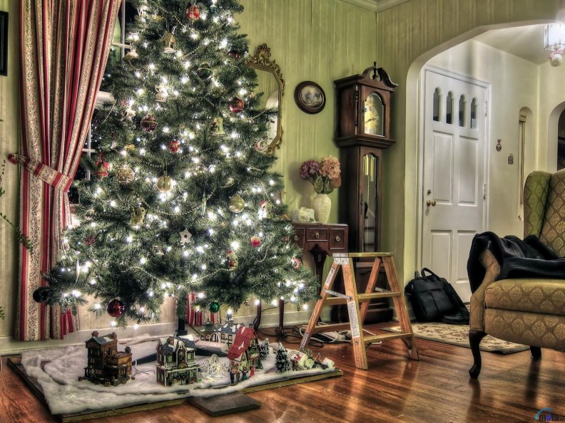christmas_tree_with_lights.jpg