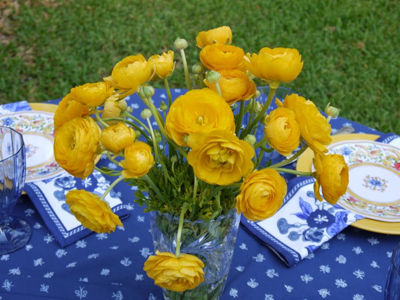 Yellow and Blue Outdoor Table