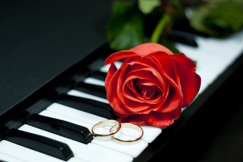 romantic_rose.jpg