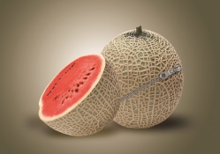 *** Zippered Melon ***