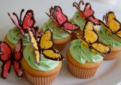 Cupcakes for Cherie (Monarch)