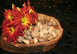 *** Nuts and flowers ***