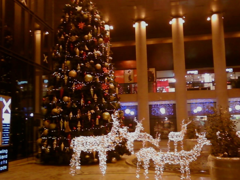 Christmas in Mall_Timisoara