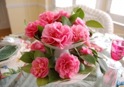 Camellias in a Springtime♥