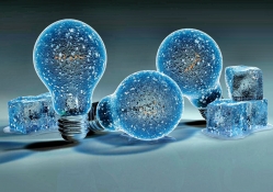 ice bulbs