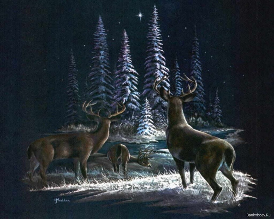 deer on Christmas Eve