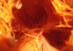 Inside A Fiery Pumpkin