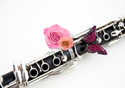 Clarinet Butterfly Music
