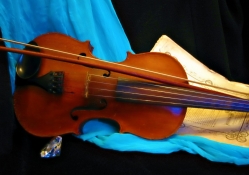 The Violin ~ An Instrument of Beauty