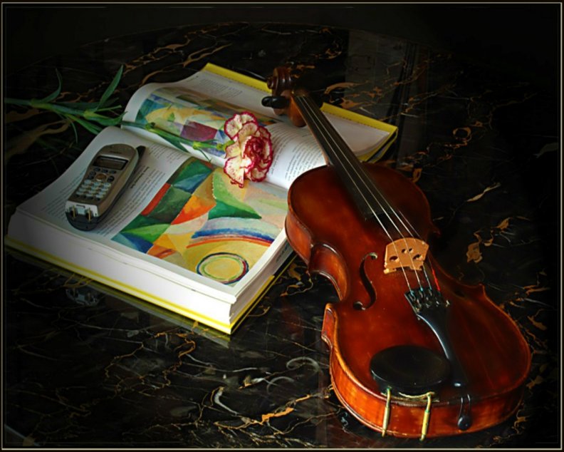 music_of_the_violin.jpg