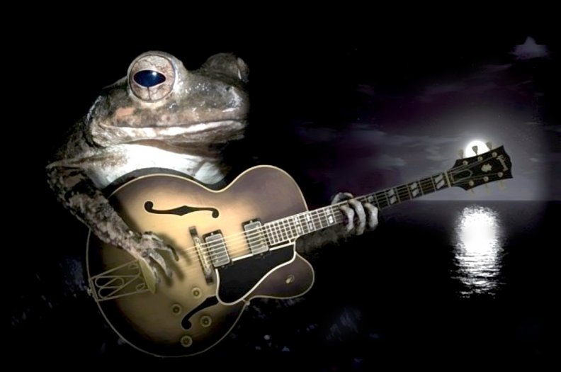 Frog and guitar