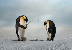 Fishing Penguins