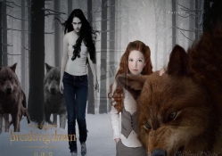 Bella &amp; Renesmee &amp; Wolf Pack