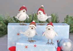 ~ Holiday Birds ~
