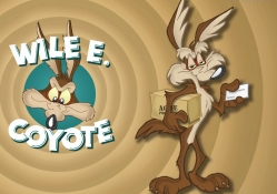 the coyote wile e.
