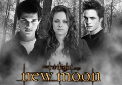 Black and White New Moon poster