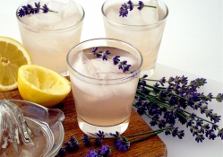 ~  Lavender Lemonade  ~