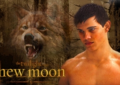 Taylor and the WereWolf